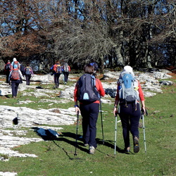 11-11-27 Lezaun-Arguiñano